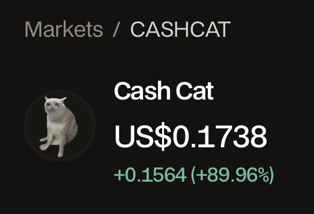 A screenshot of the Cash Cat ($CASHCAT) cryptocurrency showing a current price of US$0.1738, up $0.1564 (+89.96%) for the day, confirming the post's claim that the token is "pumping."