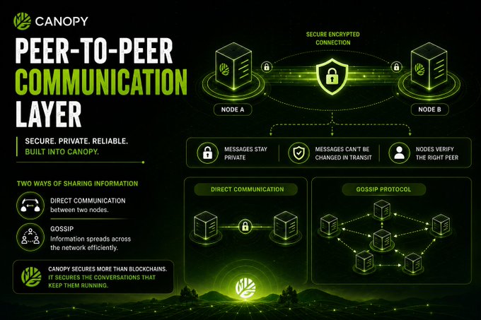 Canopy marketing graphic titled 'Peer-to-Peer Communication Layer' highlighting secure encrypted connections, direct communication, and gossip protocols for blockchain security.