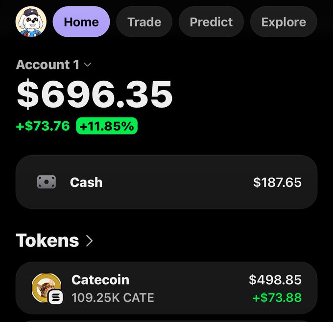 The image shows a Phantom crypto wallet account display with a current balance of $696.35, up $73.76 (+11.85%), featuring $187.65 in cash and $498.85 in Catecoin (109.25K CATE). The screenshot illustrates the user's point about their portfolio's decline, representing just a fraction of what was once a $20,000 account now reduced to under $700 after risky gambles and a death spiral in value.