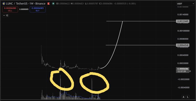 A TradingView chart of LUNC/USDT on Binance (1W timeframe) shows two historical spike lows circled in yellow, with a hand-drawn arrow projecting a potential breakout toward resistance levels at 0.00064548 and 0.00123685 USDT, supporting the post's bullish long-term thesis.