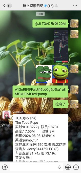 A Chinese-language chat screenshot discussing the 'TOAD' Solana meme coin (The Toad Pepe), showing a contract address, price of 0.018272, and various meme images including Pepe the Frog.