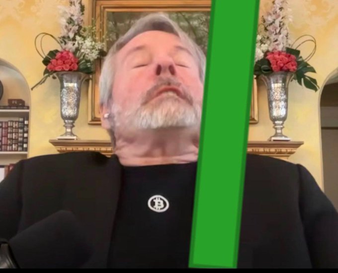 A man with gray hair and beard wearing a black shirt with a logo, sitting in an ornate room with floral arrangements; a large green checkmark is overlaid on the right side of the frame.
