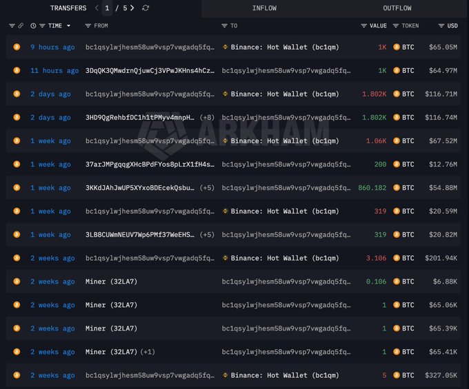 A cryptocurrency transaction history showing multiple BTC transfers to and from a 'Binance: Hot Wallet (bc1qm)' address, with values in BTC and USD ranging from 0.106 BTC to 3.106 BTC.