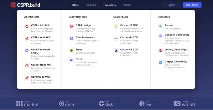 The image shows a screenshot of the Cspr.Build Agentic Tools dashboard, which displays multiple tabs and windows for different tools and applications. There are several options available on this interface, including various pricing details, developer profiles, resources, etc. One option that stands out is "Agents". Users can choose from agents to manage their workflow in the cloud infrastructure.