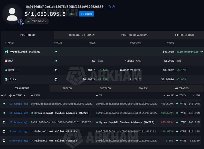 A screenshot of a wallet portfolio labeled 'HYPE Whale' showing total holdings of $41,050,895.8, including 488.599K HYPE tokens and assets like Hyperliquid Staking, MAX, and LILLY.