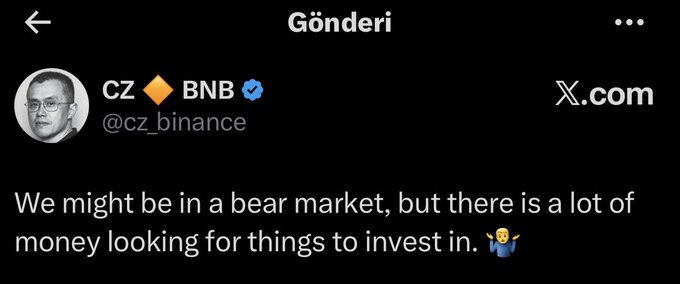 The image shows a tweet from Binance founder CZ (@cz_binance) reading "We might be in a bear market, but there is a lot of money looking for things to invest in," illustrating his optimistic stance that significant capital remains available for investment despite current bearish market conditions.