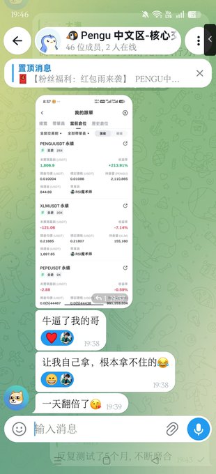A screenshot of a Telegram chat in the 'Pengu 中文区 - 核心' group, showing financial information about PENGU, SLN, and PEFI tokens, with users discussing their investment losses in Chinese.