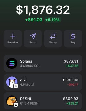 This image shows a cryptocurrency wallet with a total value of $1,876.32, with holdings in Solana, dixi, and PESHI. The question "shall i run it up again???" implies the owner is considering investing more money into these cryptocurrencies.