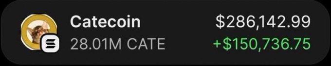 A trading portfolio snapshot showing a Catecoin ($CATE) position with a current value of $286,142.99, featuring a gain of +$150,736.75 on a 28.01M CATE holding. The image illustrates the viral claim of a massive overnight return, though notably the displayed gain ($150K) doesn't align with the post's narrative of a "$50 turned into $250,000."