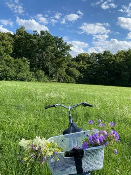 A bicycle with a white basket filled with purple and white flowers sitting in a grassy field with trees under a blue sky.