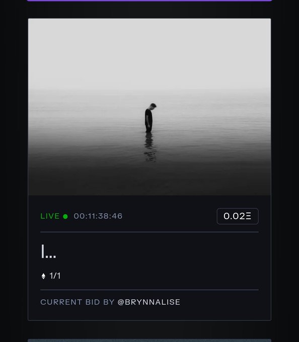 A screenshot of a digital art auction featuring a black-and-white image of a figure standing in water, with a current bid of 0.02 ETH by '@BRYNNALISE'.