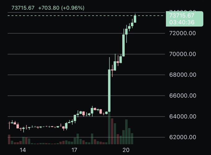 A cryptocurrency candlestick chart showing a price of 73715.67 (+703.80, +0.96%) with a sharp upward spike from around 62,000 to 73,000 over dates 14-20, with timestamp 03:40:36.