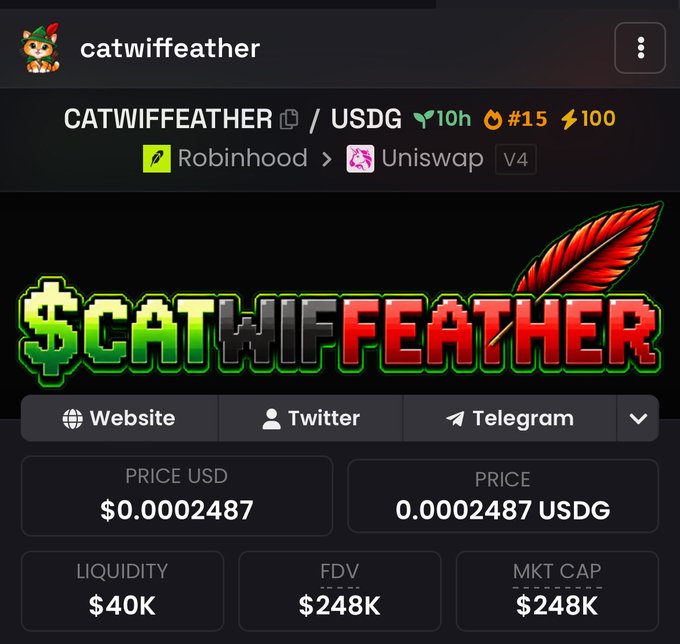 A page from a meme token tracker displays "catwiffeather" (ticker: CATWIFFEATHER/USDG), priced at $0.0002487 with $40K liquidity and a $248K market cap, available on Robinhood via Uniswap V4. The accompanying contract address likely points to the on-chain address where this CATWIFFEATHER token is deployed, linking the visual token details to its underlying smart contract.