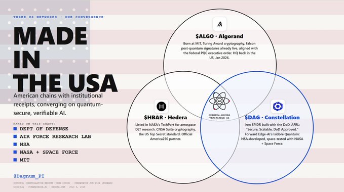 A "Made in the USA" infographic highlights three U.S.-aligned blockchain projects—$ALGO (Algorand), $HBAR (Hedera), and $DAG (Constellation)—converging on quantum-secure, verifiable AI, with endorsements from the DoD, Air Force Research Lab, NSA, NASA, and MIT, reinforcing the post's emphasis on the partnership between Algorand and Constellation.