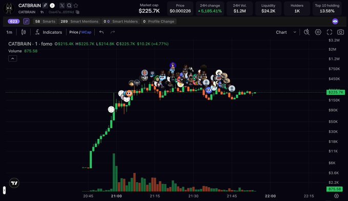 A DexScreener chart for CATBRAIN (CATBRAIN) showing a rapid price spike from ~$25K to a $225.7K market cap, with 1K holders and $1.2M in 24H volume, before consolidating sideways at the $225.7K level with dense holder distribution at the top—visually supporting the post's claim that the chart has built a base and is holding rather than fading.