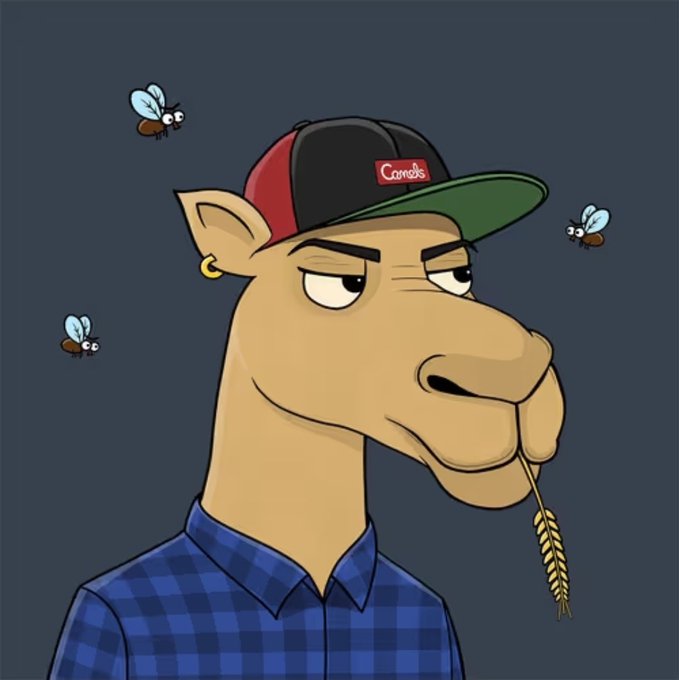 A cartoon illustration of a bored-looking camel wearing a baseball cap with 'Comrade' branding, a blue checkered shirt, and an earring, with flies buzzing around it.