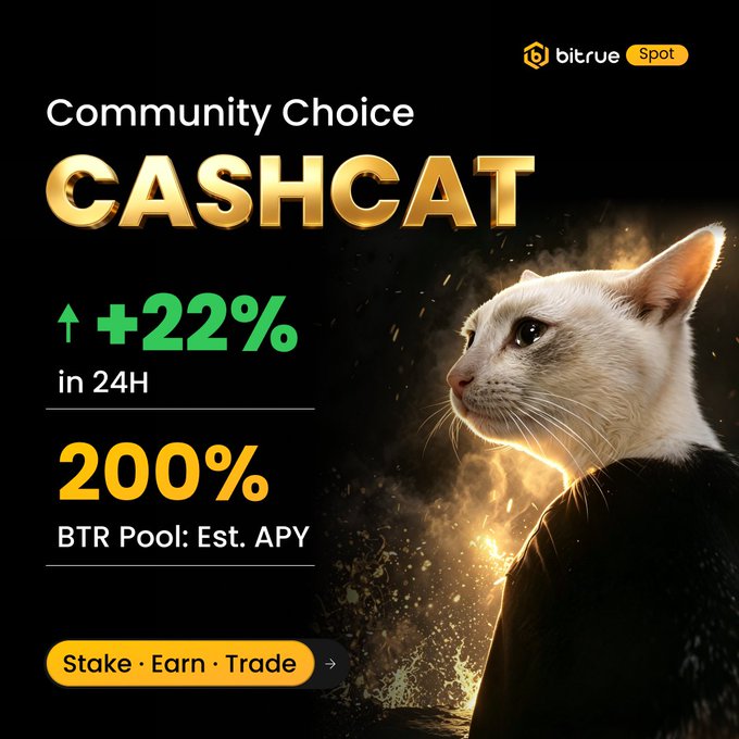 A promotional graphic for Bitrue's "Community Choice" spotlight on the CASHCAT token, featuring a white cat with glowing gold accents. It highlights the token's +22% gain in 24 hours and an estimated APY of up to 200% on its Launchpool, visually matching the post's message about the cat-themed coin's recent surge and staking opportunity.