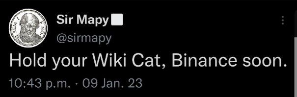 The image shows a tweet from "Sir Mapy" (@sirmapy) reading "Hold your Wiki Cat, Binane soon." posted at 10:43 p.m. on 09 Jan. 23. Combined with the accompanying post referencing $WKC and conviction, the image promotes holding the Wiki Cat ($WKC) token in anticipation of an upcoming Binance listing.