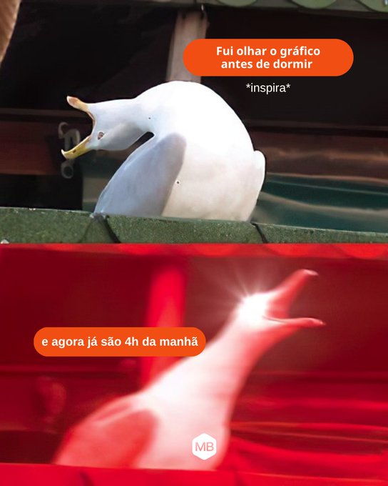 A two-panel Portuguese meme featuring a white duck; the top panel is captioned 'Fui olhar o gráfico antes de dormir *inspira*' showing the duck stretching, and the bottom panel is captioned 'e agora já são 4h da manhã' showing the duck bathed in red light.