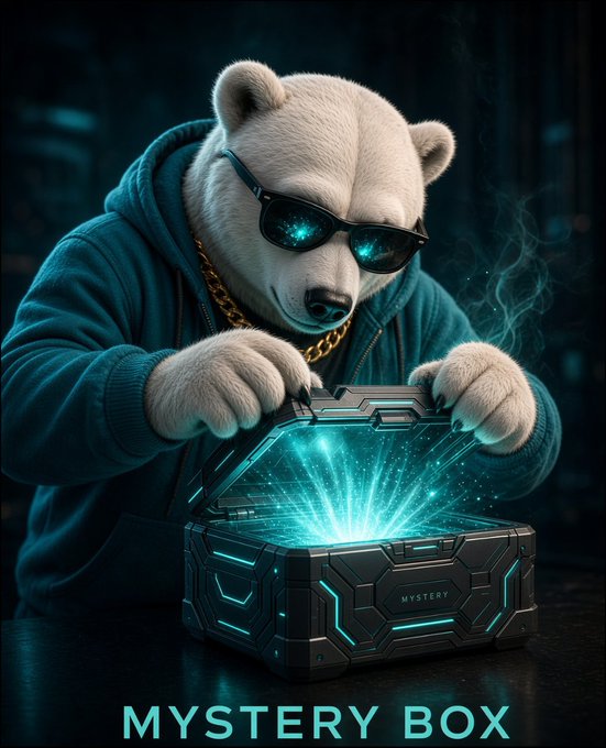 A bear character wearing sunglasses and a hoodie opens a futuristic glowing chest labeled 'MYSTERY BOX', with the text 'MYSTERY BOX' displayed at the bottom.