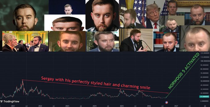 This image shows multiple photos of a man identified as "Sergay" superimposed over a trading chart for $LINK, with text humorously referencing his receding hairline and the price action. The chart indicates a downward trend labeled with "Sergay with his perfectly styled hair and charming smile" and an upward diagonal line labeled "NORWOOD 5 ACTIVATED".