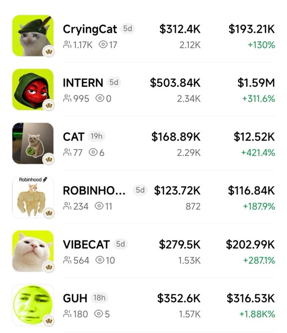 A screenshot of a memecoin trading platform listing tokens including CryingCat ($312.4K), INTERN ($503.84K), CAT ($168.89K), ROBINHOOD ($123.72K), VIBECAT ($279.5K), and GUH ($352.6K) with percentage gains displayed.
