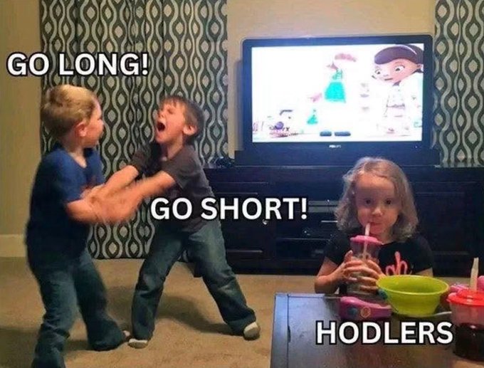 A humorous meme showing two young boys playfully wrestling labeled 'GO LONG!' and 'GO SHORT!' while a third child calmly drinks from a cup, labeled 'HODLERS,' illustrating crypto trading mindsets.
