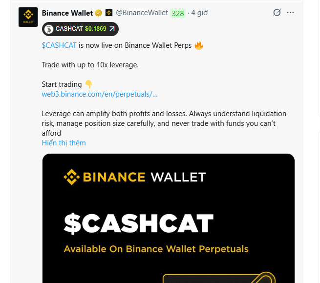 A Binance Wallet tweet (in Vietnamese interface) announcing $CASHCAT ($0.1869) is live on Binance Wallet Perps with up to 10x leverage, featuring a black promotional graphic.