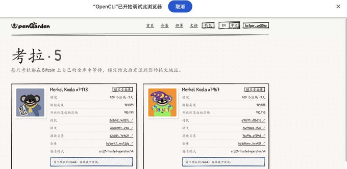 An "OpenGarden" catalog page titled "考拉 5" (Koala 5) displaying two NFT listings — "Merkel Koala #118" and "Merkel Koala #763" — on the BTC (Bitcoin) network, showing details like bid prices, royalties, and payment methods.