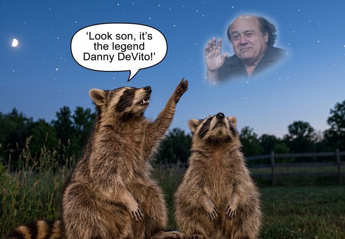 A meme featuring two raccoons at night, with one pointing up at the night sky saying 'Look son, it's the legend Danny DeVito!' as DeVito appears waving among the stars.