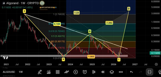xtrp chart on a trading app, with a green line and yellow bars representing the price of Bitcoin over time.