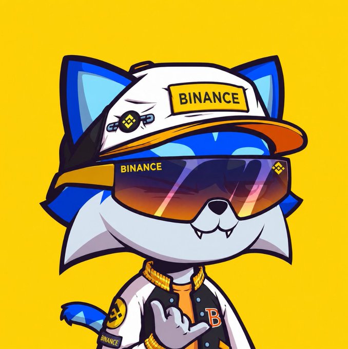 A cartoon-style blue cat character wearing a white and orange 'BINANCE' cap, Binance-branded sunglasses, and a varsity jacket with a 'B' logo, set against a yellow background.