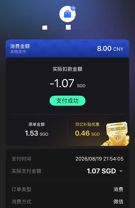 A payment confirmation screen in Chinese showing a successful transaction of 8.00 CNY with an actual payment of -1.07 SGD.