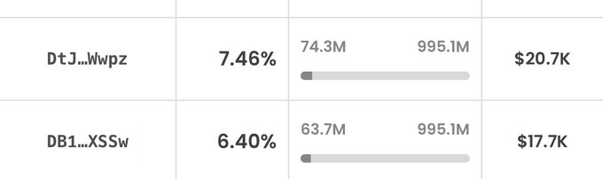 The image shows a table displaying two cryptocurrency wallets—DtJ...Wwpz and DB1...XSSw—with 7.46% and 6.40% ownership respectively, totaling 74.3M and 63.7M tokens out of 995.1M supply, valued at $20.7K and $17.7K. These figures support the post's claim of a token snipe, showing that two wallets together control roughly 13.86% of the token supply, which the developer identifies as suspicious insider activity ahead of a relaunch.