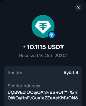 A cryptocurrency transaction notification showing a receipt of +10.1115 USDT from sender Bybit, received on 14 Oct at 20:02, with a partially visible sender address.