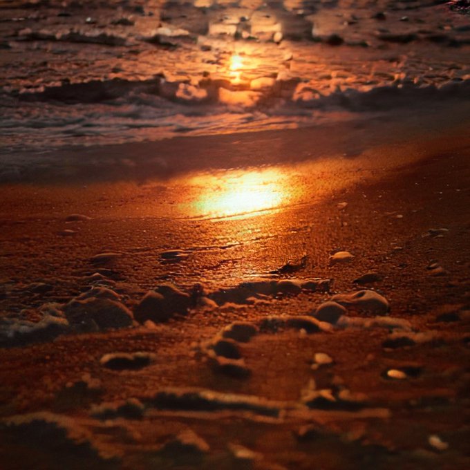 Warm golden light from a setting or rising sun reflects off wet sand and gentle waves on a beach.