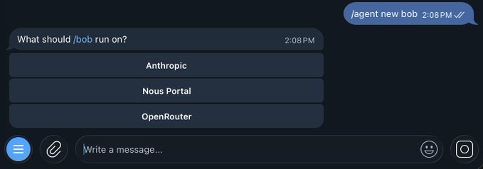 A chat interface showing the message '/agent new bob' with a prompt asking 'What should /bob run on?' and three options: Anthropic, Nous Portal, and OpenRouter.