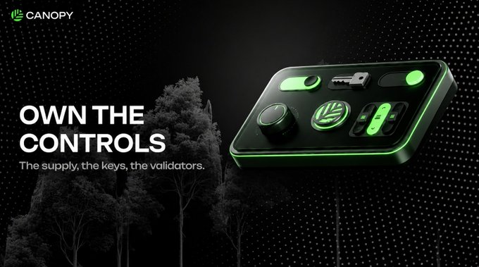 The image features a green control panel with various buttons and icons, surrounded by trees. Below the control panel, there's text that reads "OWN THE CONTROLS" and "THE SUPPLY OF THE KEYS, THE VULNERABILITIES". The focus of this image is on the control panel itself, rather than the content displayed in the caption above it.