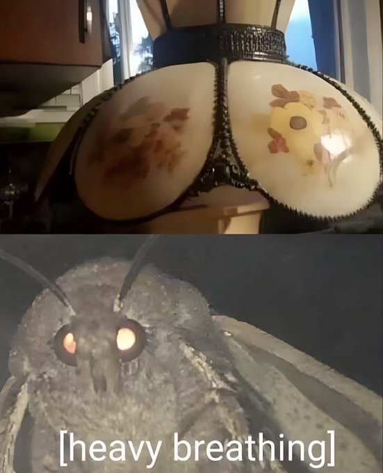 A meme featuring two images: the top shows a stained lampshade, and the bottom shows a moth with the text '[heavy breathing]'.