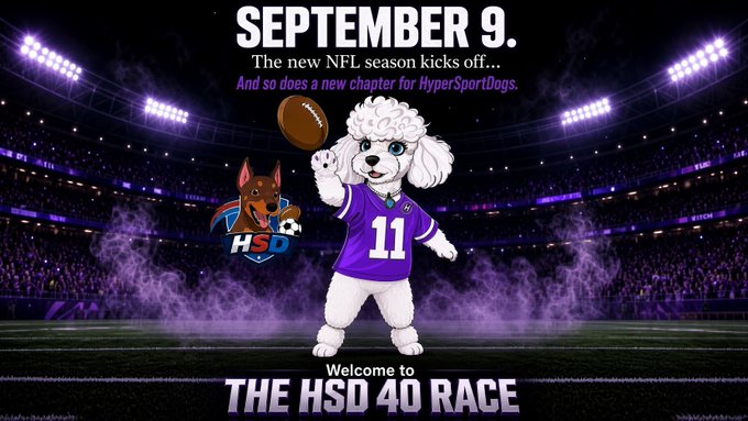 A promotional graphic announcing 'SEPTEMBER 9' for the new NFL season, featuring a cartoon poodle in a purple #11 jersey with the text 'Welcome to THE HSD 40 RACE' and an 'HSD' logo.