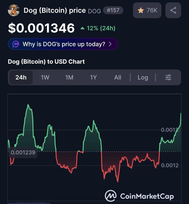 A CoinMarketCap price chart for 'Dog (Bitcoin)' ticker DOG showing a current price of $0.001346, up 12% in 24h, with a 24h chart trending upward.
