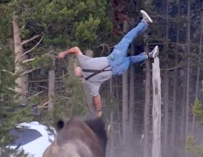 The image appears to be rotated sideways and shows a person in mid-fall or being thrown through the air in a forest setting, with what appears to be a bear partially visible at the bottom. The accompanying post about "Bears getting rekt in September" creates a humorous play on words, comparing the literal image of a man being tossed by a bear to the financial term "bears" (investors who bet on declining markets) suffering losses—suggesting bearish investors are taking a painful tumble similar to the man being thrown by the bear.