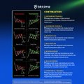 A dark presentation slide titled "Bitcoin" containing several small charts and text, too blurry to read in detail.