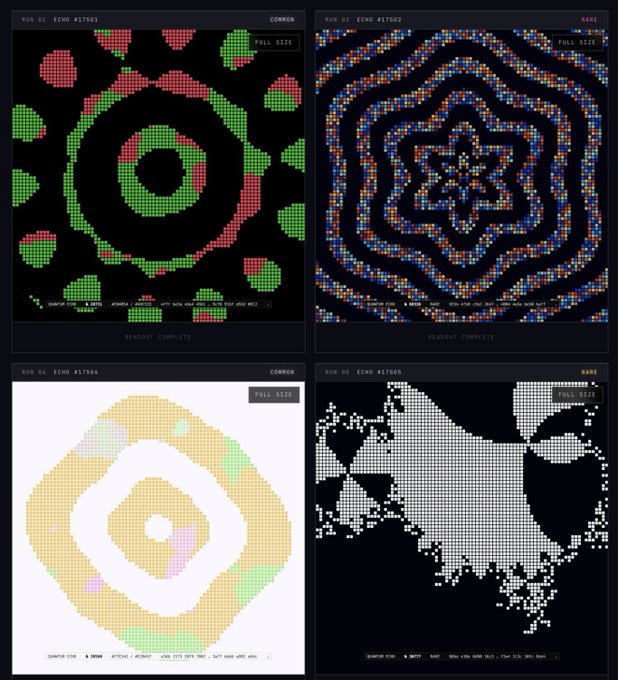 Four pixel-art style grid patterns labeled with RUN numbers, ECHO IDs, and rarity tags ('COMMON' and 'RARE').