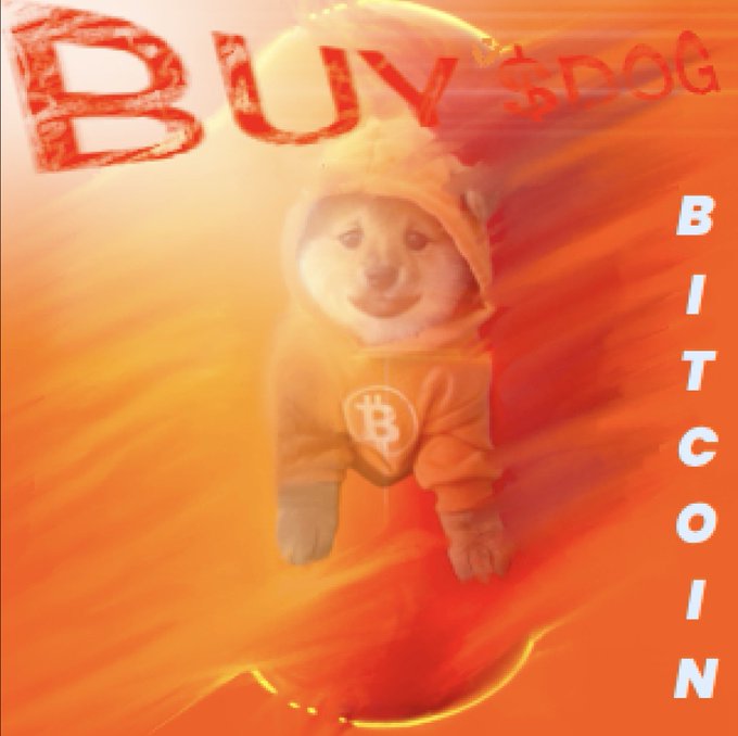 The image features a dog wearing an orange hoodie, sitting or laying down with its eyes closed. The background of the image is orange, which matches the color of the dog's hoodie. Below this image, there is text that reads "buy $dog Bitcoin". This suggests that the image might be promoting a product related to dogs and Bitcoin.

The main focus of the image is on the dog wearing an orange hoodie, with its eyes closed as if it's meditating or enjoying a moment of relaxation. The overall theme of the image seems to be centered around the idea of freedom for dogs, which could potentially be associated with the concept of Bitcoin and digital currency.