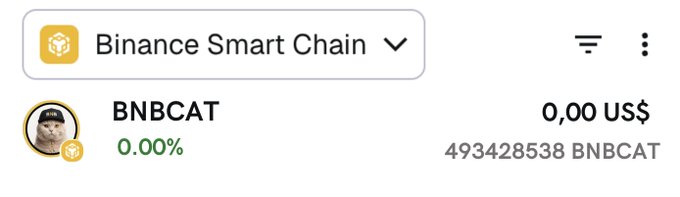 A screenshot shows a Binance Smart Chain wallet holding 493,428,538 BNBCAT tokens with a 0.00% value, reinforcing the post's claim that participants can receive 125K BNBCAT tokens per wallet as part of a limited-time airdrop.
