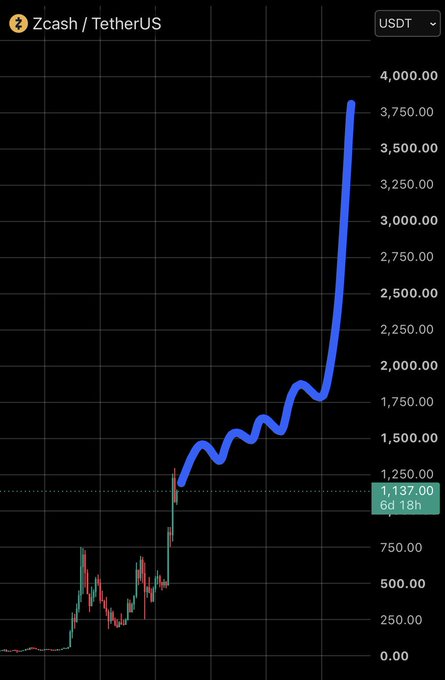 The image shows a Zcash/TetherUS (ZEC/USDT) price chart on a dark background, depicting a dramatic upward surge from around $250 to nearly $4,000, with a 6d 18h change highlighted at 1,137.00, illustrating the explosive rally that supports the post's bullish thesis on Zcash as a privacy-focused crypto with significant institutional and ETF potential.