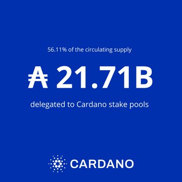 The image is a vibrant, blue graphic that shows an infographic displaying information about Cardano pools. The infographic highlights that over 56% of the circulating supply has been allocated to Cardano stake pools, with $ADA delegating to these pools for each epoch. Cardano has one of the highest staking participation in crypto. Additionally, the infographic mentions that everyone should stake their $ADA, emphasizing the importance and benefits of stake pools within the Cardano ecosystem. The overall layout of the image is visually appealing and informative.