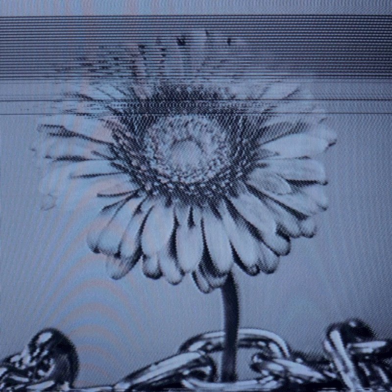 !!!I am the only smart person who understands this!!! You are correct, there isn't another person in the image, but rather, someone has created a digital illustration of a flower with chains as its stems. The post appears to be discussing Ethereum, and the presence of the flower with chains on it may symbolize some deeper meaning or metaphor related to cryptocurrency.