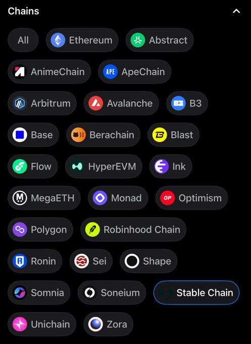 The image shows a list of blockchain "Chains" available on OpenSea, with "Stable Chain" being the newest addition, suggesting it's the focus of the discussion. This new chain is likely the one being referred to as "cook" in the post.